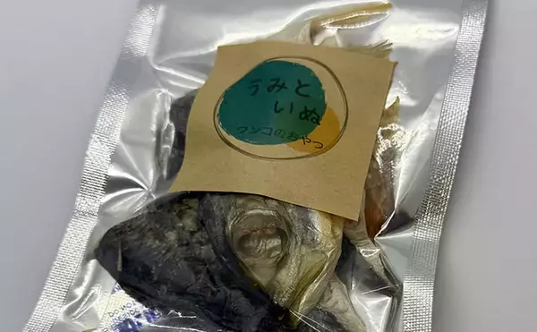 「釣ったアジで愛犬用のおやつ作り　東京湾のライトアジ釣りで食材をゲット！」の画像