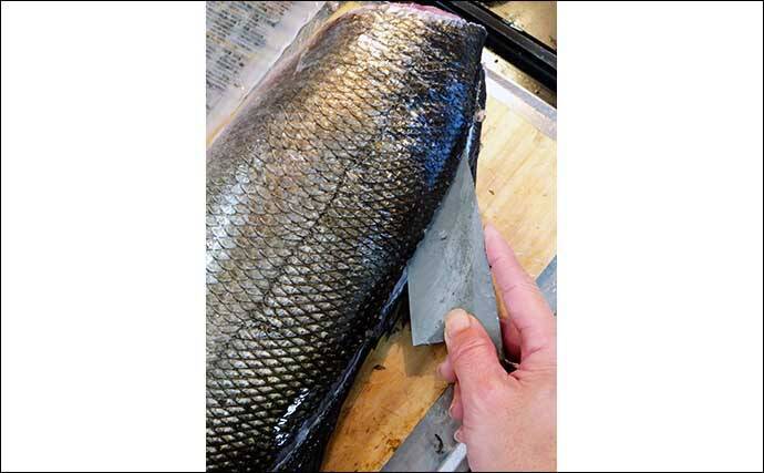 釣り人的「フレンチ」レシピ：ヒラスズキのカフェドパリ風　ソースが肝