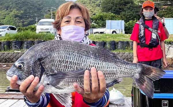三重 カカリ釣り最新釣果 良型クロダイにアオリイカが狙い目 22年10月19日 エキサイトニュース