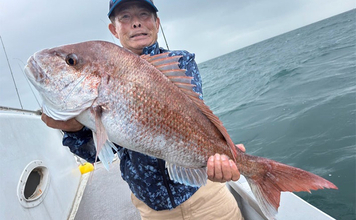 伊良湖沖のタイラバ釣行で75cm大ダイ降臨！【愛知】苦戦の末に劇的ヒット
