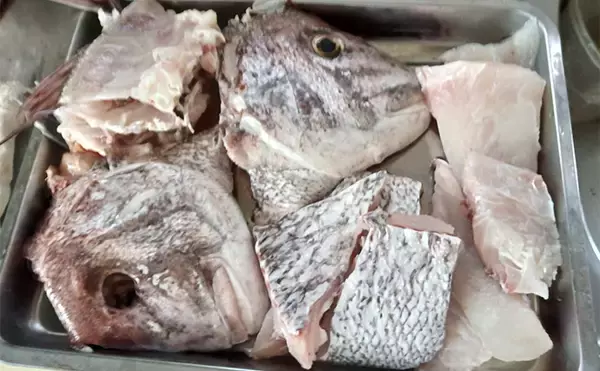 「伊良湖沖のタイラバ釣行で75cm大ダイ降臨！【愛知】苦戦の末に劇的ヒット」の画像