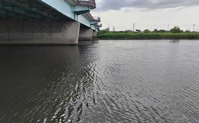 真冬のデイシーバスゲーム攻略の極意　「浅場のボトム」を狙うべし！