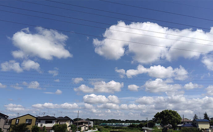 真冬のデイシーバスゲーム攻略の極意　「浅場のボトム」を狙うべし！