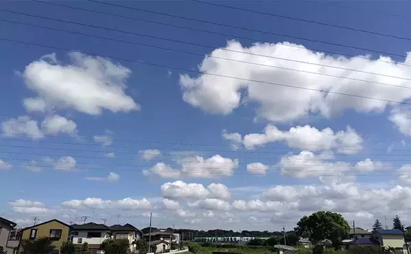 「真冬のデイシーバスゲーム攻略の極意　「浅場のボトム」を狙うべし！」の画像