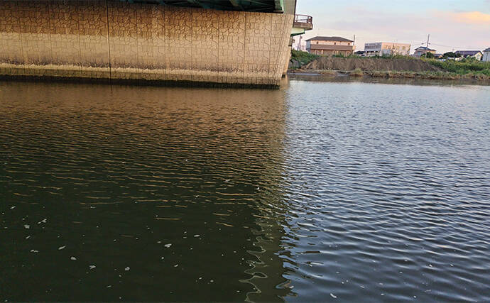 真冬のデイシーバスゲーム攻略の極意　「浅場のボトム」を狙うべし！