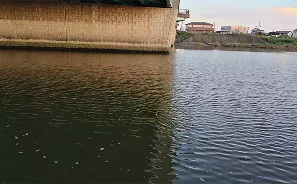 「真冬のデイシーバスゲーム攻略の極意　「浅場のボトム」を狙うべし！」の画像