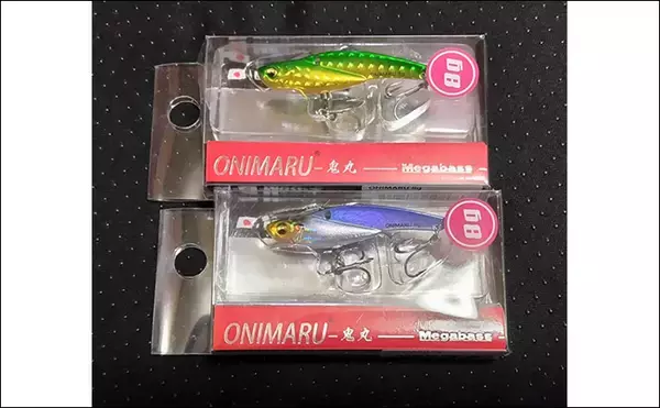 「真冬のデイシーバスゲーム攻略の極意　「浅場のボトム」を狙うべし！」の画像