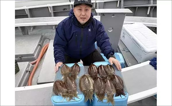 「【沖釣り釣果速報】肉厚コウイカが各船で好調！竿頭11匹で入れ乗りタイムも（愛知）」の画像