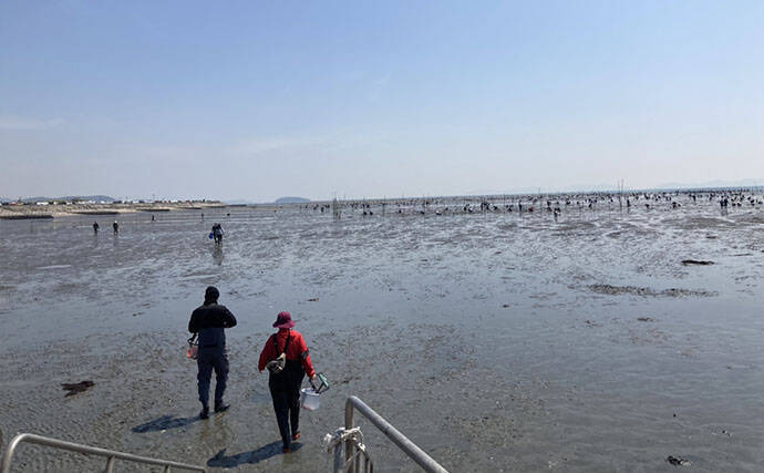 「表層の一段下を探るのがコツ！」衣崎海岸での潮干狩りでハマグリをゲット【愛知】