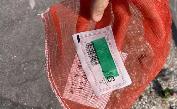 「「表層の一段下を探るのがコツ！」衣崎海岸での潮干狩りでハマグリをゲット【愛知】」の画像