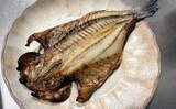 「東京湾でイサキ100匹超えの大爆釣！【太郎八丸】旬魚を刺身・真子の煮付け・一夜干しで堪能」の画像7