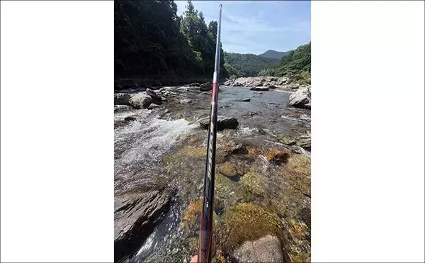 「2026盛夏のアユ友釣りを攻略しよう！【ポイント選び方・タックル・仕掛け・釣り方を解説】」の画像