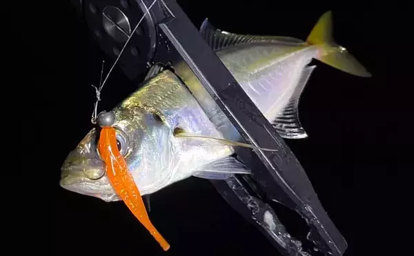 ソルトゲームのワーム付け方キホン　ヘッドとの「隙間」は致命的？