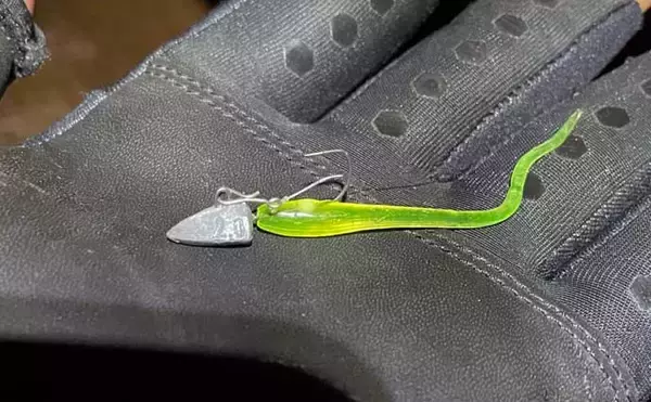 「ソルトゲームのワーム付け方キホン　ヘッドとの「隙間」は致命的？」の画像