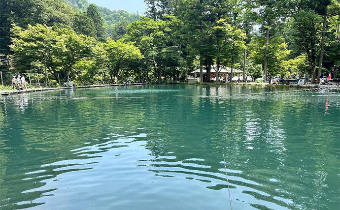 「ニジマス親子丼を堪能！」エリアトラウト釣行でニジマス42匹手中【滋賀・醒井養鱒場】