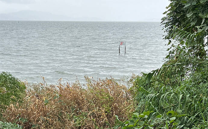 ネット通販の激安スプーンでチヌが釣れた！【浜名湖】地元の常連からの情報が決め手に