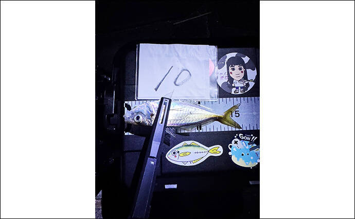 個人開催の良さがつまった「浜名湖アジング大会」ってどんな釣り大会？