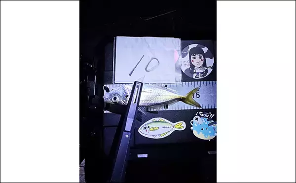 「個人開催の良さがつまった「浜名湖アジング大会」ってどんな釣り大会？」の画像