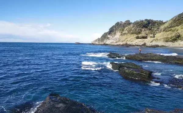 「ウキフカセ釣りで本命クロダイ最大48cm頭に11尾手中【富浦・南ケイセン】磯際攻略が的中」の画像