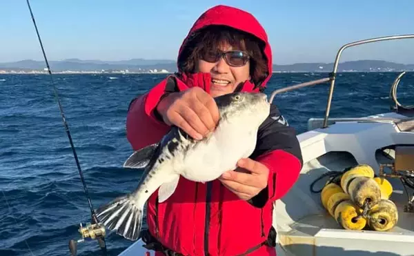 「トラフグ釣る人3匹！カットウ釣りで朝の時合いに船中連発【船の釣果速報6選・三重】」の画像