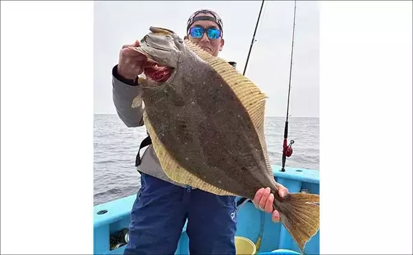 「トラフグ釣る人3匹！カットウ釣りで朝の時合いに船中連発【船の釣果速報6選・三重】」の画像