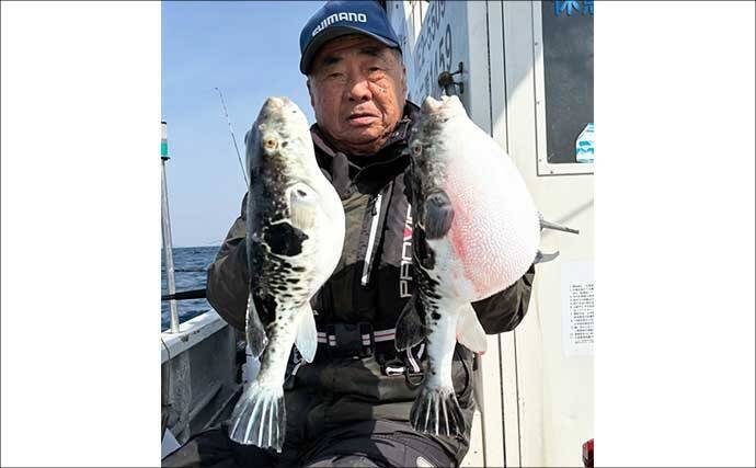 トラフグ釣る人3匹！カットウ釣りで朝の時合いに船中連発【船の釣果速報6選・三重】