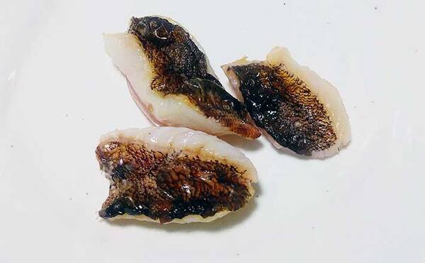 釣魚で作る干物レシピ カサゴの一夜干し 冷蔵庫干しでもok 22年6月5日 エキサイトニュース