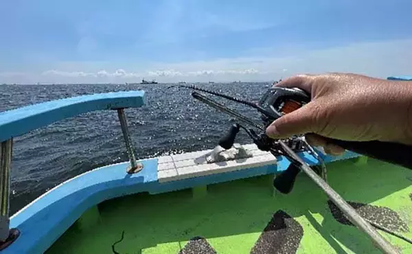 「【2022年】東京湾エギダコ釣り入門　道具・釣り方・有利な釣り座を解説」の画像