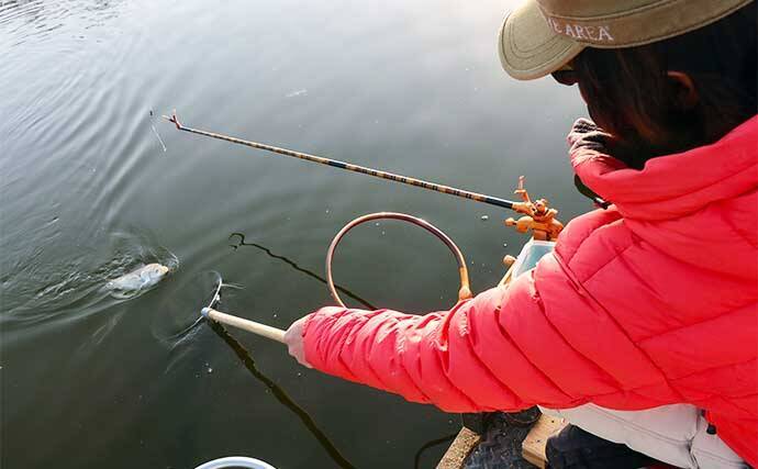 吉田康雄のザ・チャレンジへらぶな　【沖段底をやってみよう#3】