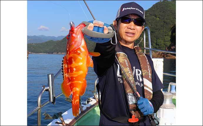 スイミング釣法でオオモンハタにアカハタが連発【三重・エヌテックマリン】
