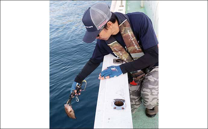 スイミング釣法でオオモンハタにアカハタが連発【三重・エヌテックマリン】