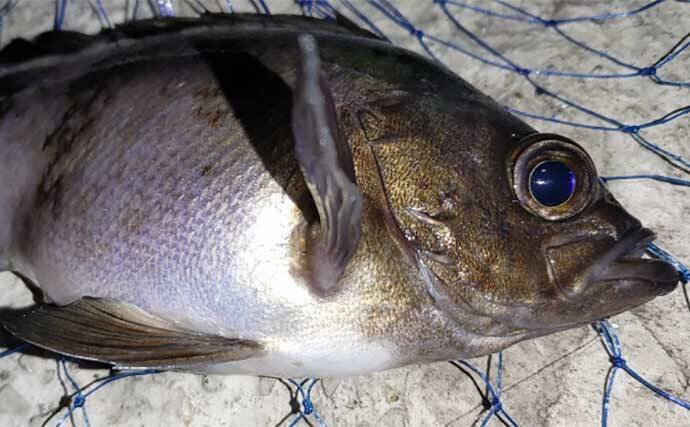 釣りを今よりもっと楽しむためにオススメしたい【4つのプラスアルファ】
