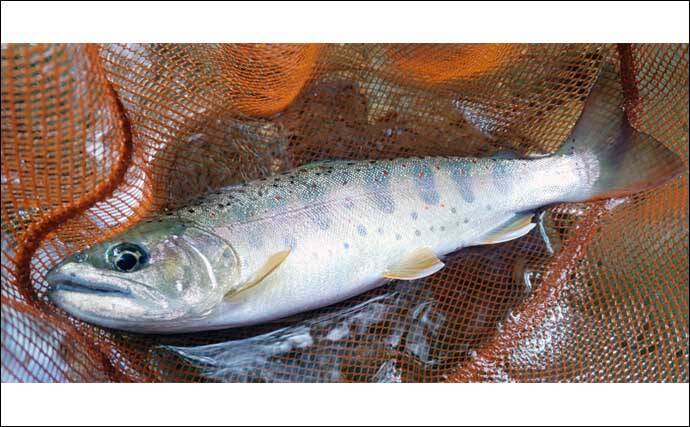 釣りを今よりもっと楽しむためにオススメしたい【4つのプラスアルファ】