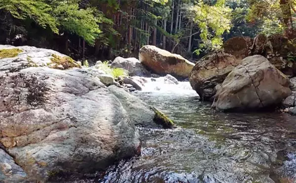 「釣りを今よりもっと楽しむためにオススメしたい【4つのプラスアルファ】」の画像