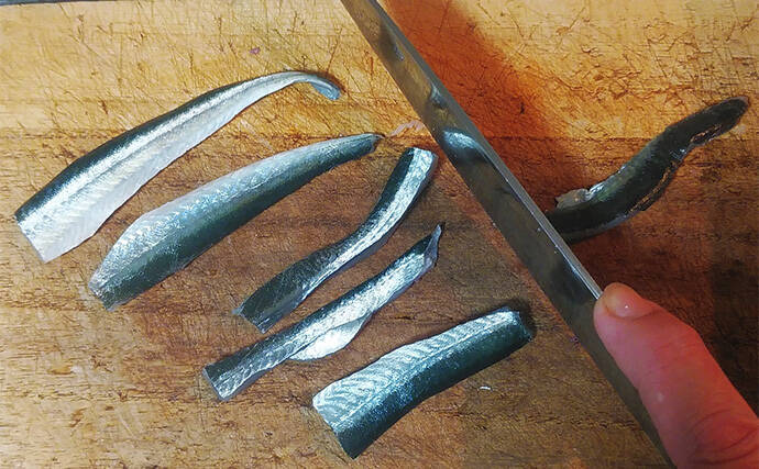 釣った魚で作る「ご飯のおかず」レシピ：小ダツの薄塩　軽く干して旨み凝縮