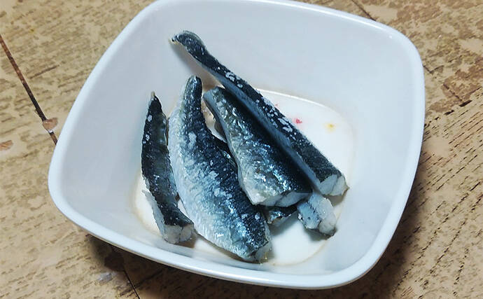 釣った魚で作る「ご飯のおかず」レシピ：小ダツの薄塩　軽く干して旨み凝縮