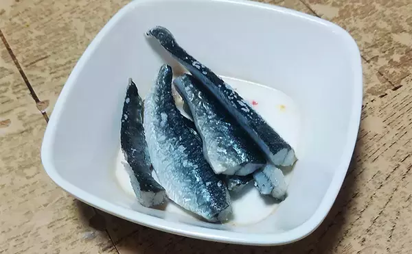 「釣った魚で作る「ご飯のおかず」レシピ：小ダツの薄塩　軽く干して旨み凝縮」の画像