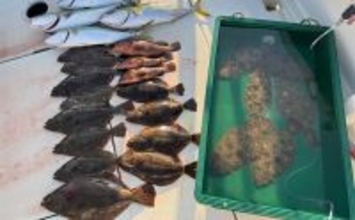 周防灘の泳がせ釣りでヒラメ57cm頭に船中18尾手中！【山口・第八新西丸】青物＆アコウも顔出し
