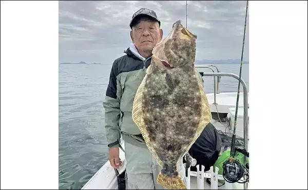 「周防灘の泳がせ釣りでヒラメ57cm頭に船中18尾手中！【山口・第八新西丸】青物＆アコウも顔出し」の画像