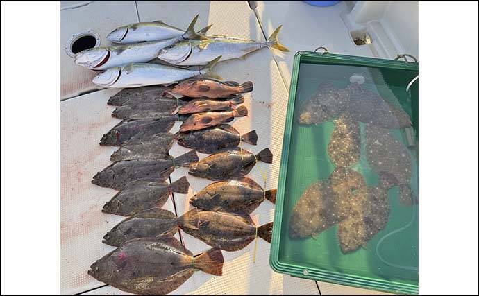 周防灘の泳がせ釣りでヒラメ57cm頭に船中18尾手中！【山口・第八新西丸】青物＆アコウも顔出し