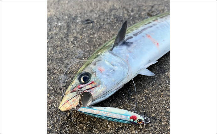 春まで閉鎖になった『大阪南港魚つり園』でのショアジギ釣行でサゴシ3連発！