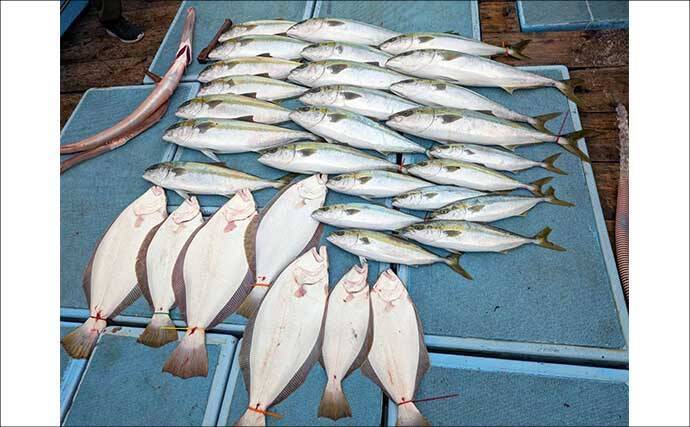 【沖釣り釣果速報】玄界灘・響灘の落とし込みが熱い！良型ヒラメ＆ヒラマサ大型が続々（福岡）