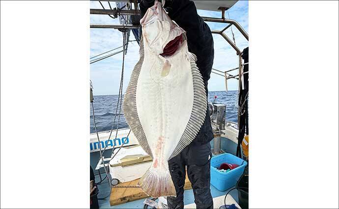 【沖釣り釣果速報】玄界灘・響灘の落とし込みが熱い！良型ヒラメ＆ヒラマサ大型が続々（福岡）