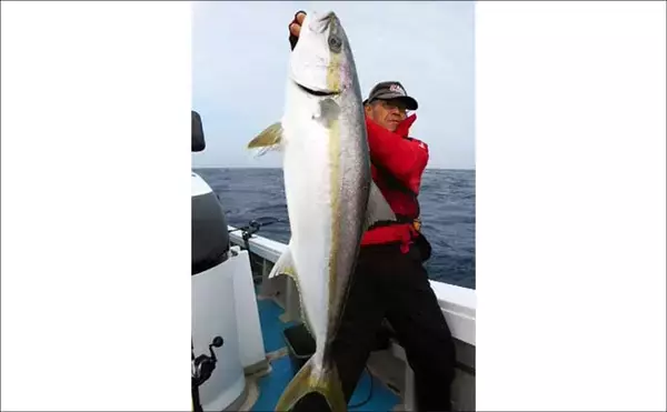 「【沖釣り釣果速報】玄界灘・響灘の落とし込みが熱い！良型ヒラメ＆ヒラマサ大型が続々（福岡）」の画像