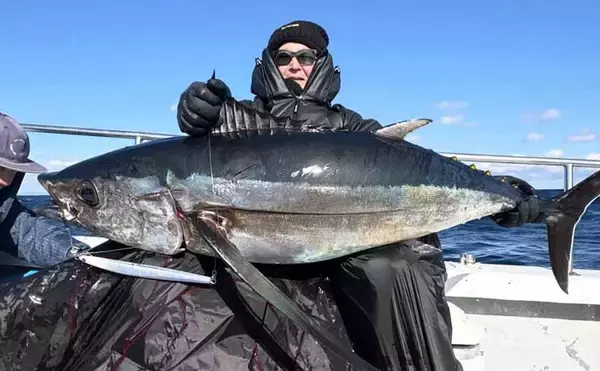 【沖のルアー釣果速報】トンジギで24kg級巨大タネトン浮上！カツオもヒット（三重）