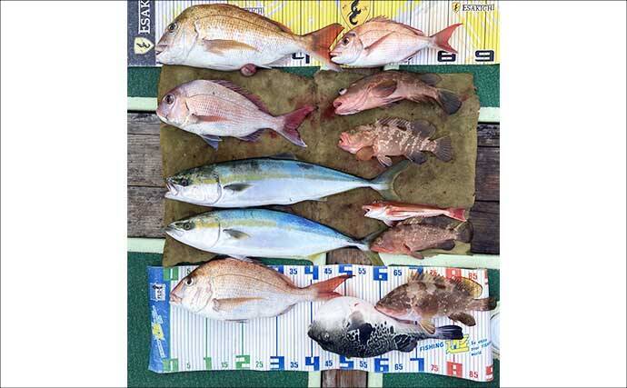 【沖のルアー釣果速報】トンジギで24kg級巨大タネトン浮上！カツオもヒット（三重）