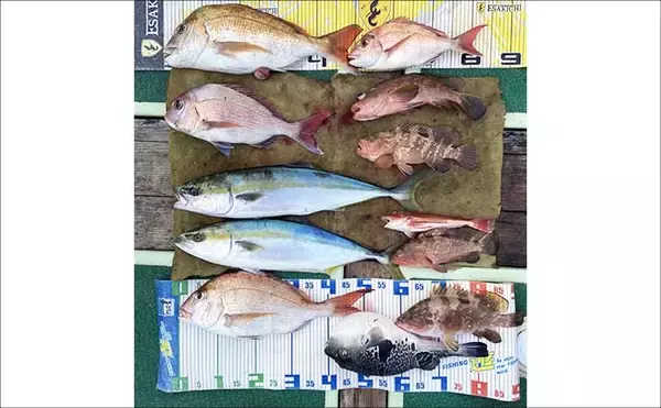 「【沖のルアー釣果速報】トンジギで24kg級巨大タネトン浮上！カツオもヒット（三重）」の画像