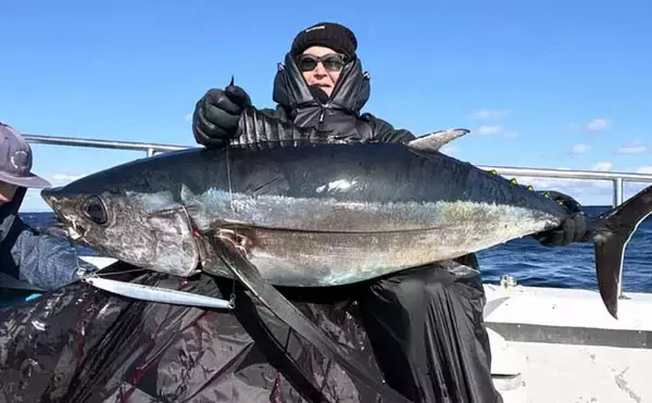 「【沖のルアー釣果速報】トンジギで24kg級巨大タネトン浮上！カツオもヒット（三重）」の画像