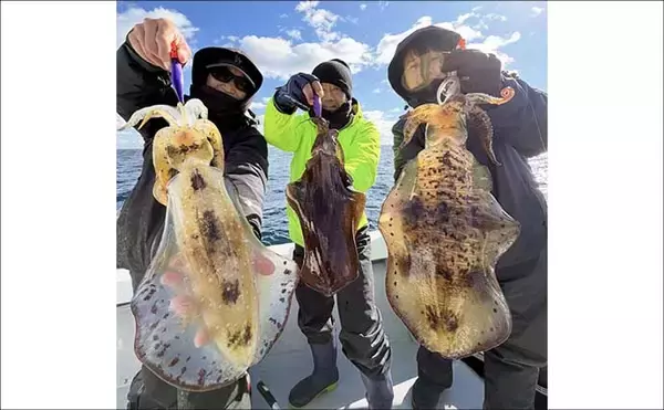 「【沖のルアー釣果速報】トンジギで24kg級巨大タネトン浮上！カツオもヒット（三重）」の画像