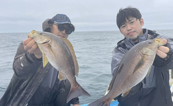 シーズン終盤のイサキSLJで本命連発【じらまる・下関】マダイにキジハタに魚種も多彩！